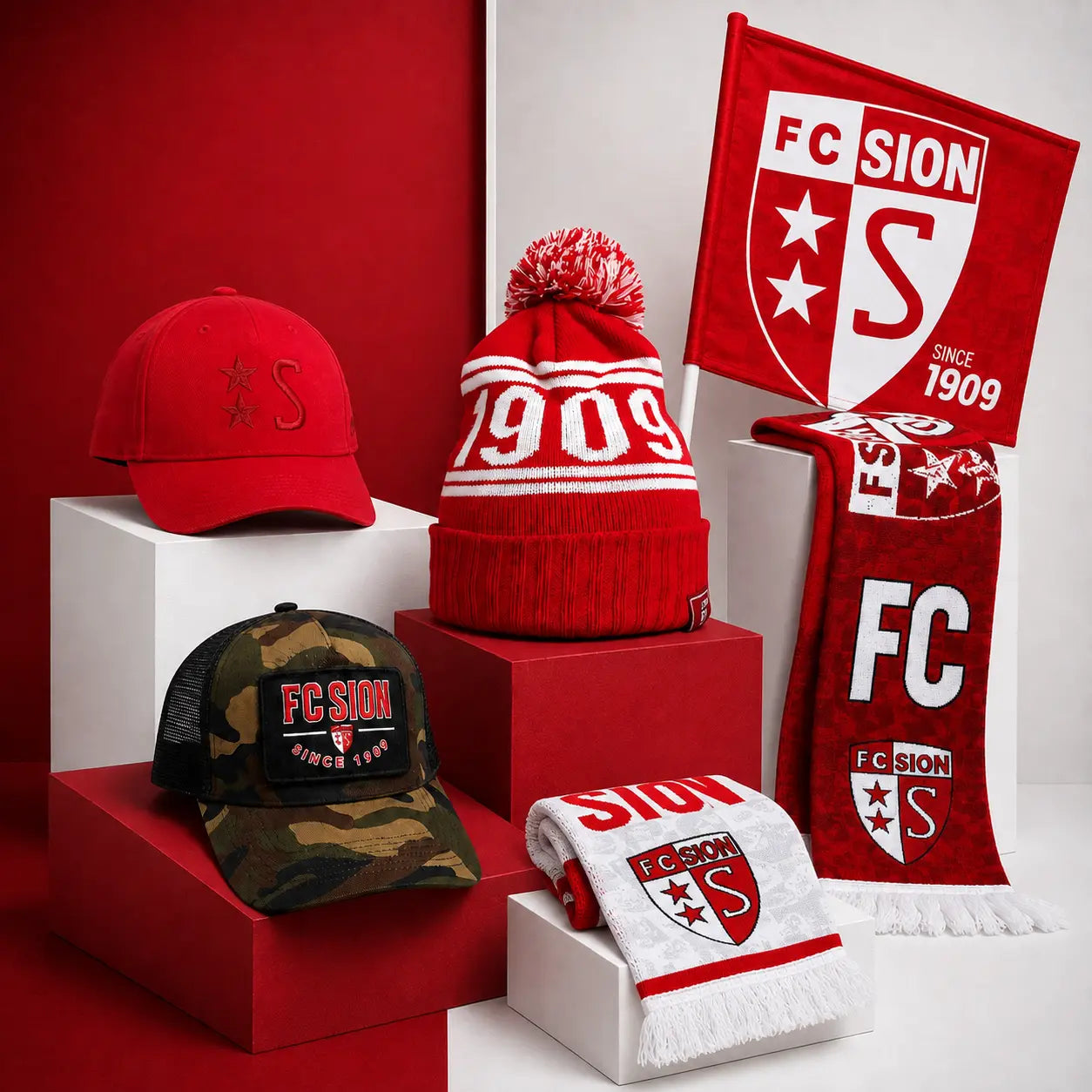 Tifosi - FC Sion