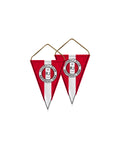 Gagliardetto triangolare - FC Rapperswil-Jona