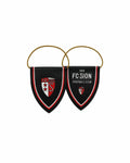 Fanions noirs du FC Sion