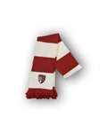 Écharpe chaude FC Sion 26/27