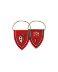 Fanions rouges du FC Sion